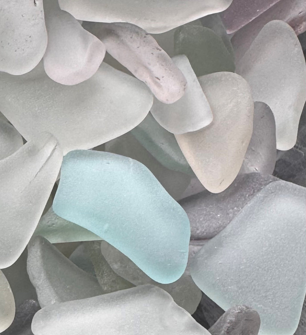 Coastal Sorbet