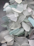 Coastal Sorbet
